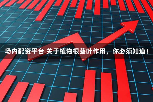 场内配资平台 关于植物根茎叶作用，你必须知道！