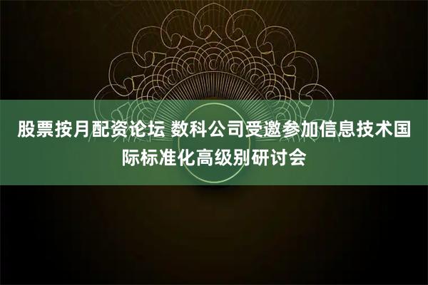 股票按月配资论坛 数科公司受邀参加信息技术国际标准化高级别研讨会