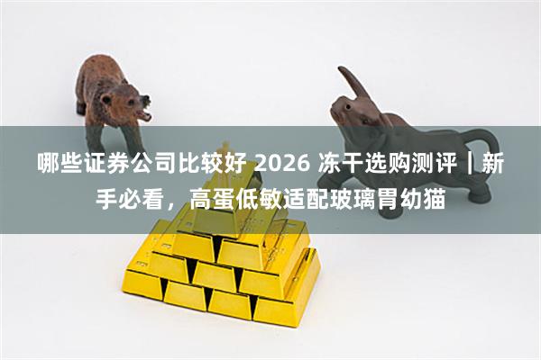 哪些证券公司比较好 2026 冻干选购测评|新手必看,高蛋低敏适配玻璃胃幼猫