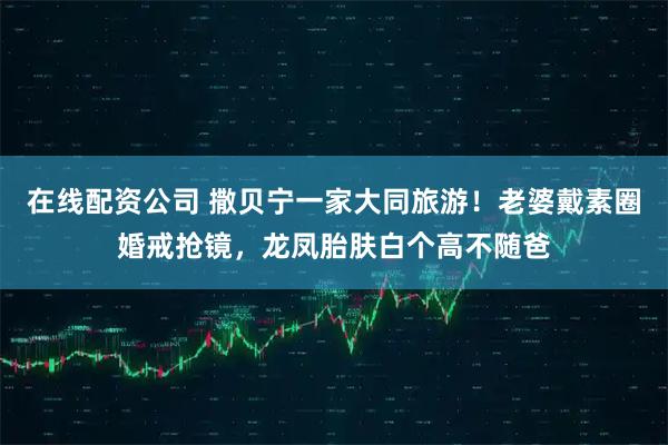 在线配资公司 撒贝宁一家大同旅游！老婆戴素圈婚戒抢镜，龙凤胎肤白个高不随爸